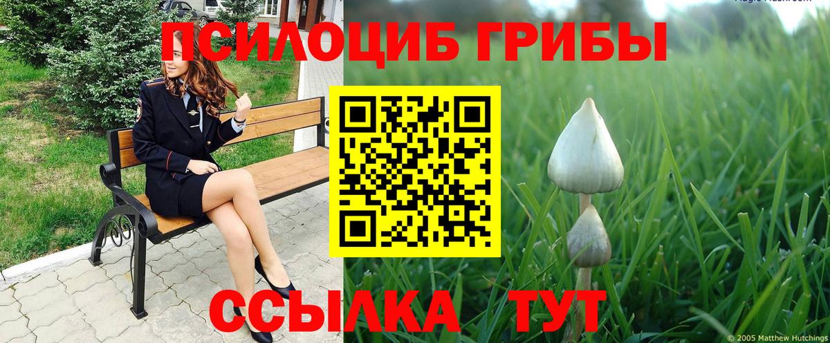 Галлюциногенные грибы Magic Shrooms Батайск