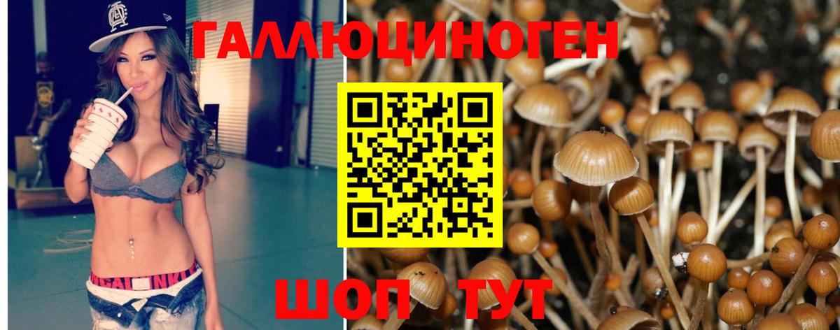 Батайск  Псилоцибиновые грибы GOLDEN TEACHER  Псилоцибиновые грибы ЛСД  Вход с VPN 
